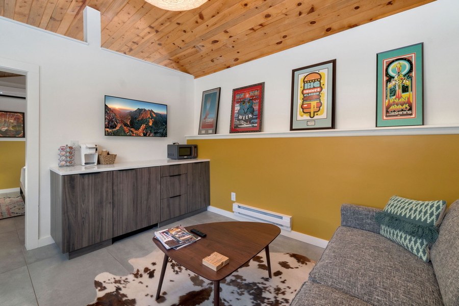 Guesthouse living room with a kitchenette counter, TV, framed posters and a wood ceiling